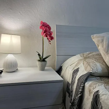 Orchidea * Loceri